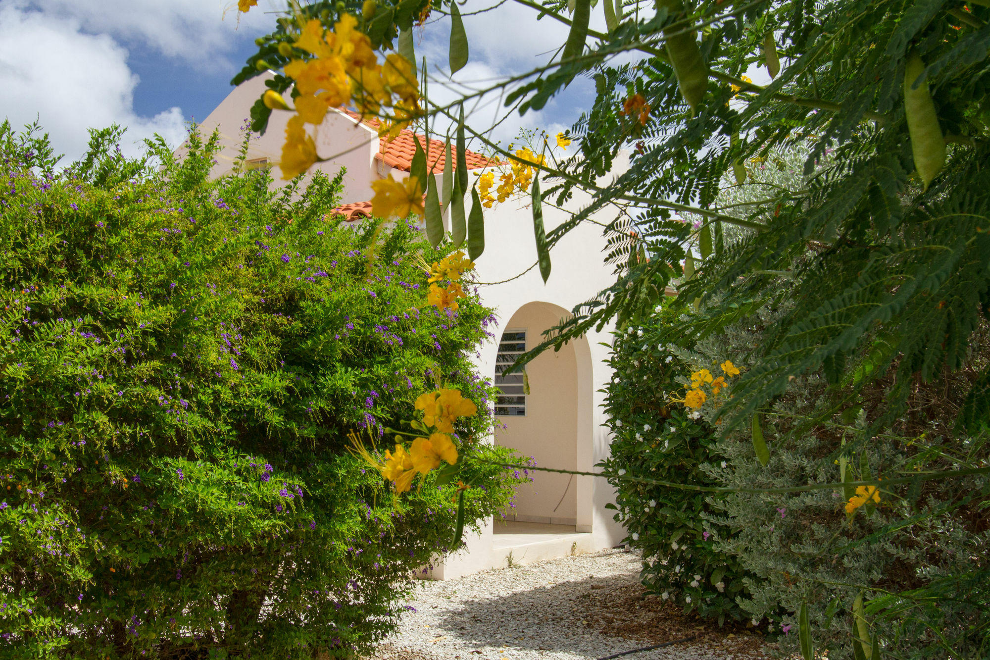Hamlet Oasis Resort Playa Eksteriør bilde